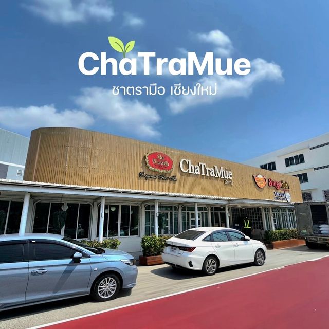 🌱ชาตรามือ ChaTraMue [เชียงใหม่]