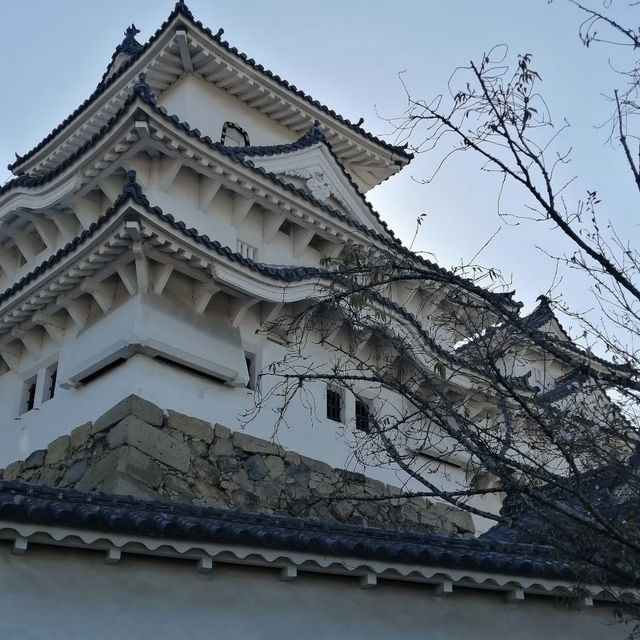 姫路城（兵庫）