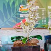 😁 Cafe Amazon ที่ใหญ่ที่สุดของภาตใต้