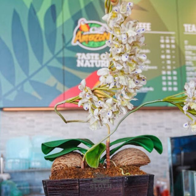 😁 Cafe Amazon ที่ใหญ่ที่สุดของภาตใต้