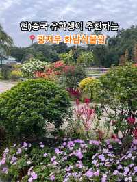 싱그러운 광저우 화남식물원을 가보셨나요? 🌸🌴
