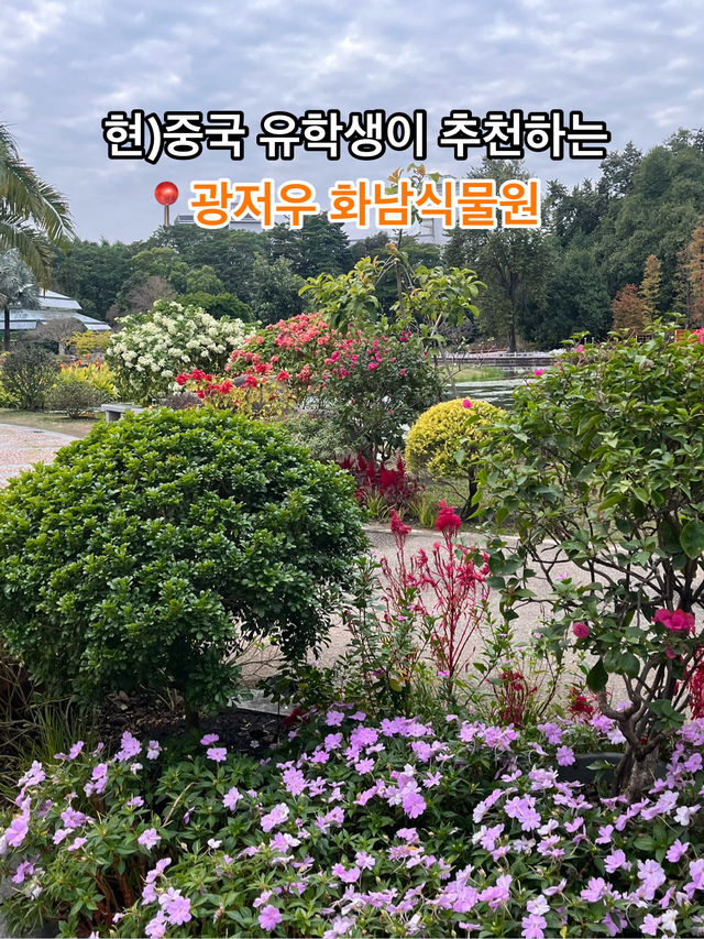 싱그러운 광저우 화남식물원을 가보셨나요? 🌸🌴