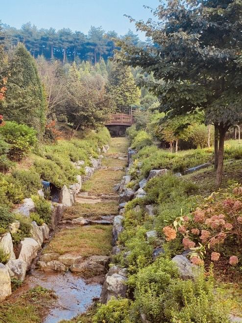 Spring's Hidden Botanical Treasures 