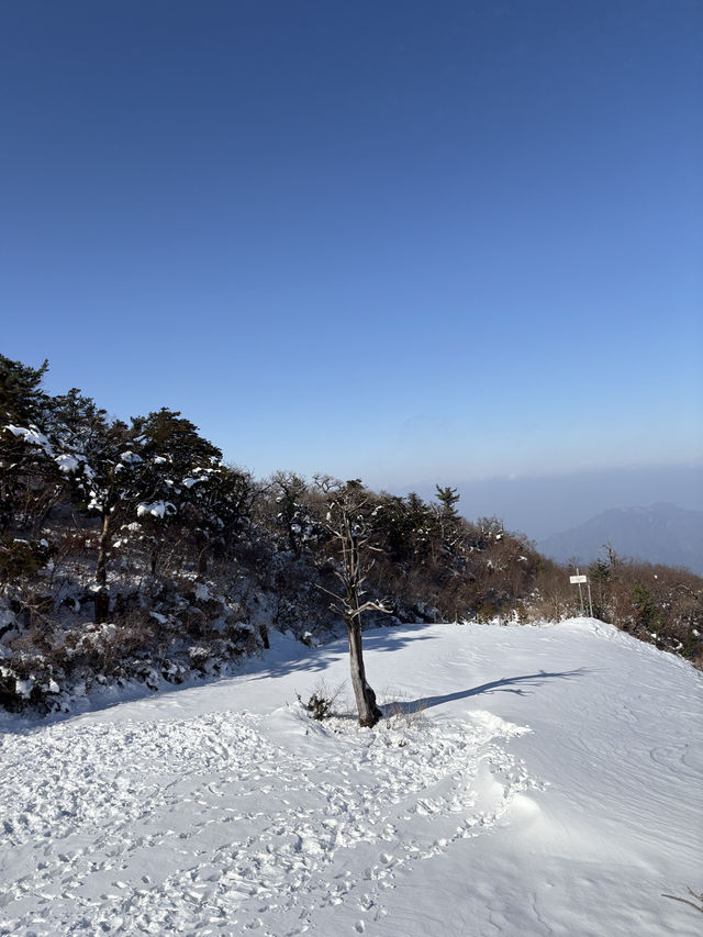 南韓 德裕山國家公園