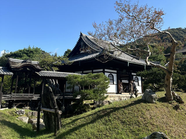 靜謐之美：探訪京都高台寺的歷史與風情