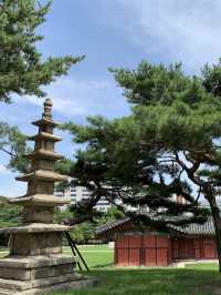 探索昌慶宮與廣藏市場｜魅力之旅🏯✨