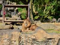 活力 . 愛媛県立とべ動物園