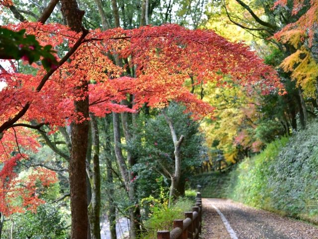 活力 . 愛媛県立とべ動物園