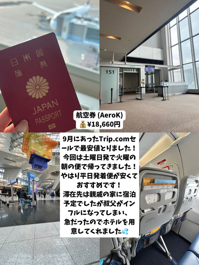 【韓国旅行】3泊4日費用まとめ💰