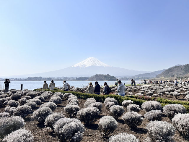 超美富士山🗻六天五夜自駕遊