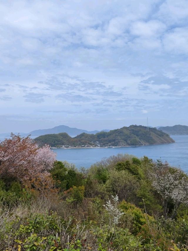 「從繁華到沒落，努力轉型的城市」- 今治市（日本.四國）