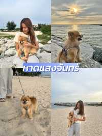 แชร์พิกัดเที่ยวกับน้องหมา🐶/pet friendly