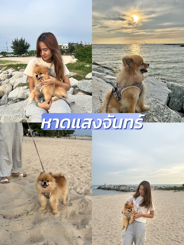 แชร์พิกัดเที่ยวกับน้องหมา🐶/pet friendly