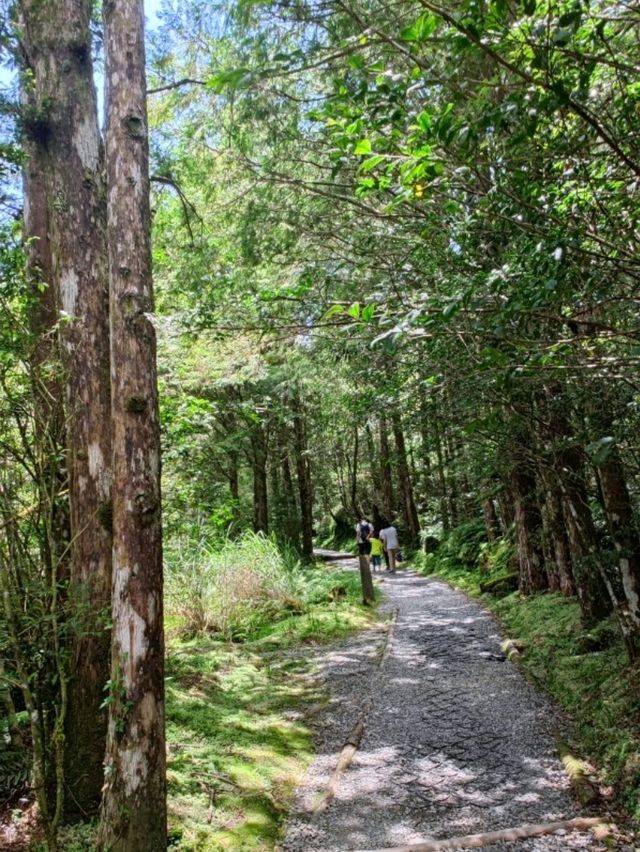 #翠峰湖-宜蘭縣大同鄉