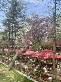 Park V Tashkent - A hidden Gem
