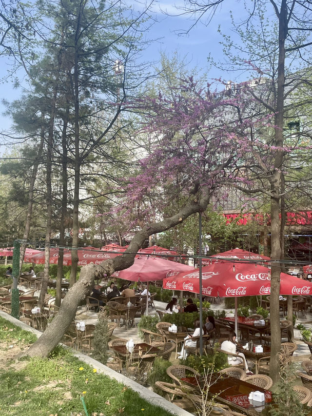 Park V Tashkent - A hidden Gem