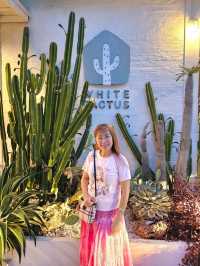 คาเฟ่  ไวแคนตัส นนทบุรี