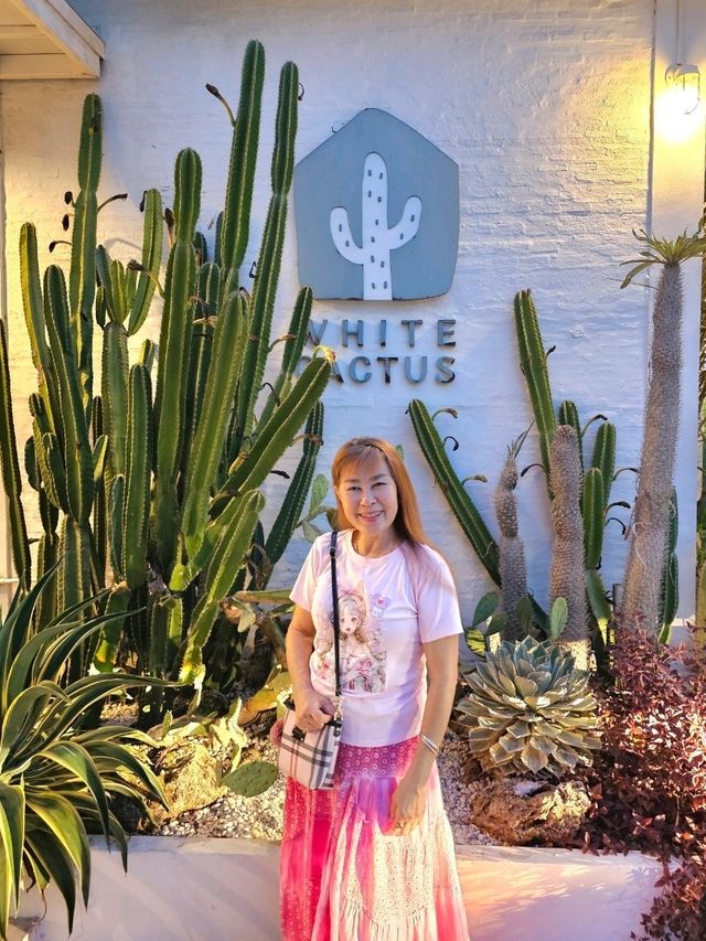 คาเฟ่  ไวแคนตัส นนทบุรี