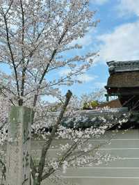 心がふわりとほどける時間。任和寺で出会うバイオリンと仏の響き