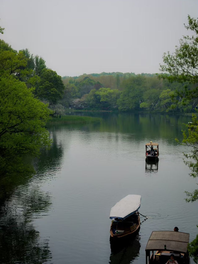 Hangzhou Xixi Wetland Park 🌳🇨🇳