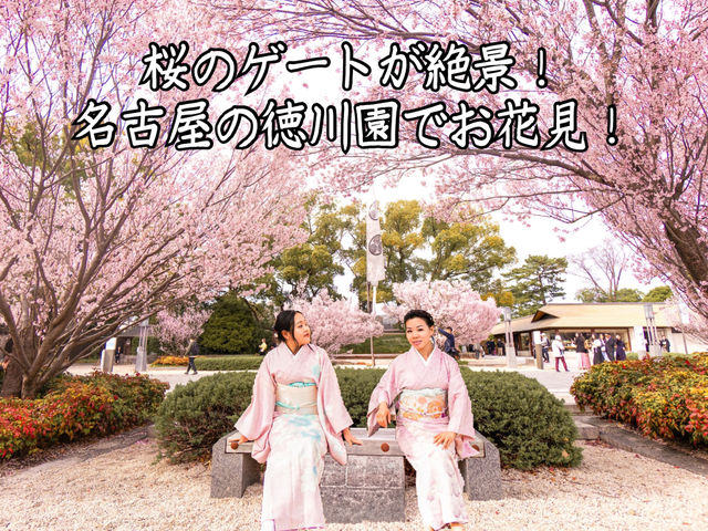 【名古屋】徳川園で歴史と桜の共演を堪能🌸✨