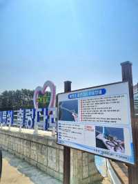스릴 있는 씨릉섬 출렁다리🌉