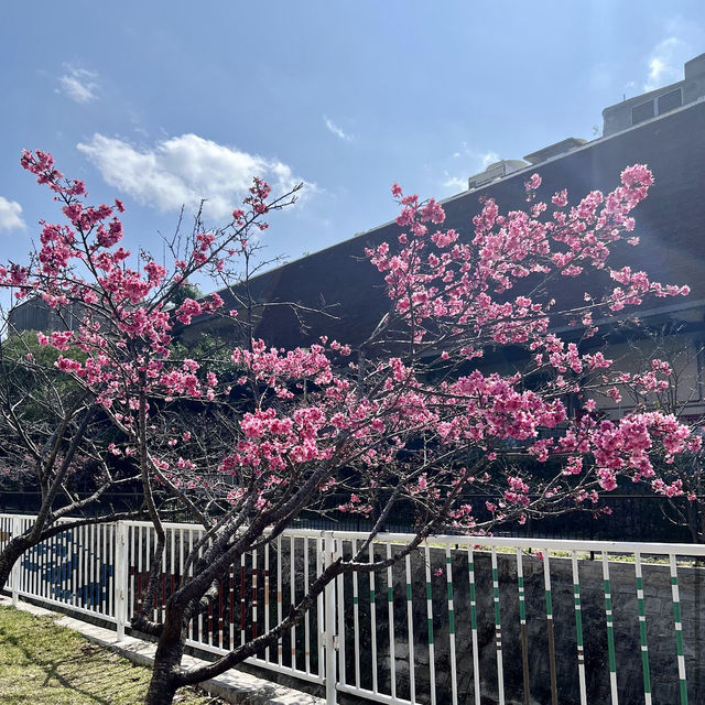 那霸與儀公園（Yogi Park）
