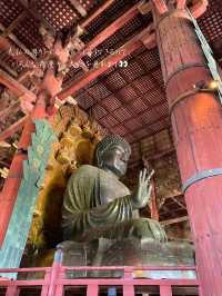 修学旅行の定番！奈良時代に造られた国宝✨奈良 東大寺