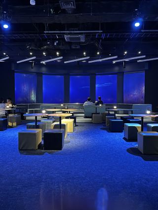 DMM Kariyushi Aquarium: A Perfect Spot for Families and Kids