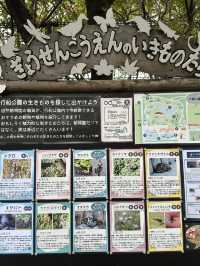 東京景點｜江戶川區自然動物園