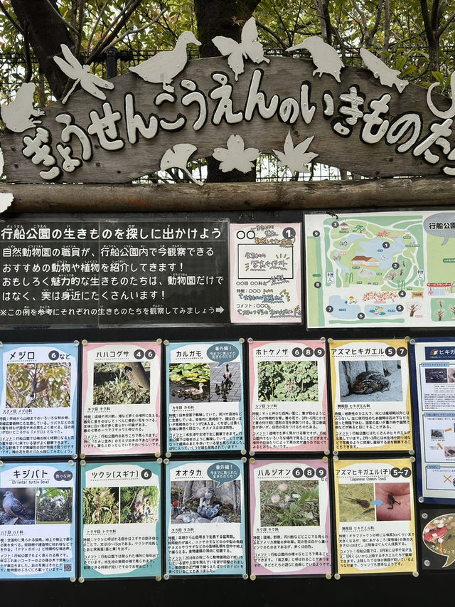 東京景點｜江戶川區自然動物園