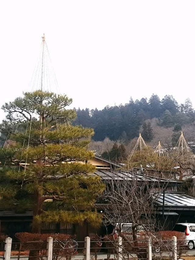 高山的美，一定要來這裡親身體會