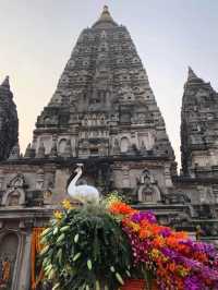 🇮🇳 摩訶菩提寺🛕佛陀在此菩提樹下成道