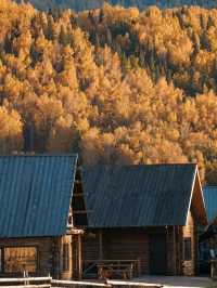Golden Altay: Where Forests Flame and Skies Shine