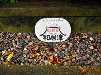 【石垣島】石垣島好きが推す　おすすめカフェ