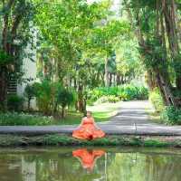 ห้อง Pool Access ชอบสุด Siamdasada