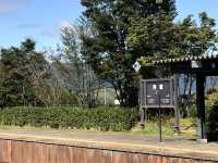 【大自然のパワーを感じる！熊本・阿蘇山の魅力】