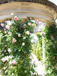 【岐阜】ローズテラスとバラ回廊 四季咲きの薔薇と山々の景色