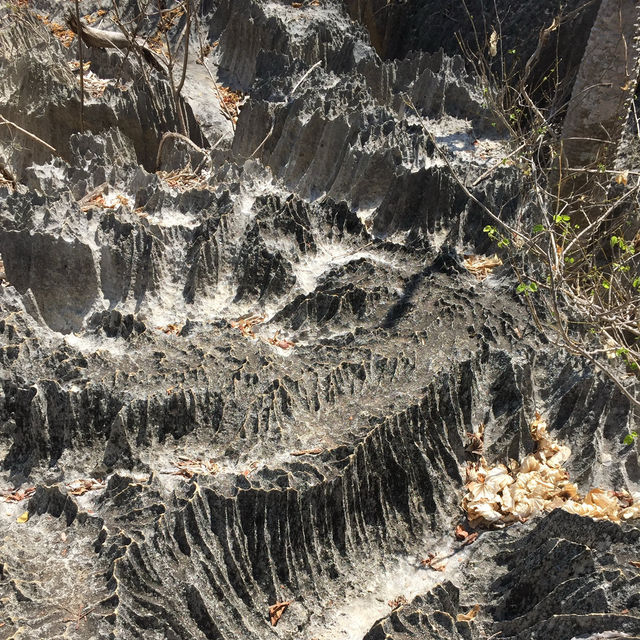 走進另一個世界｜Tsingy De Bemaraha National Park