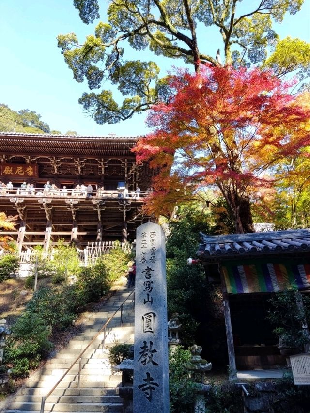 姬路城周邊必去秘境，書寫山圓教寺的森林修行時光。