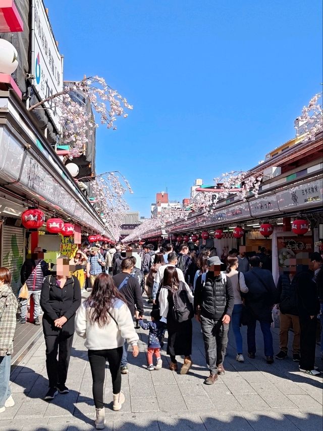 東京景點｜三訪東京最古老觀音寺—淺草寺