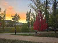 Take a walk on the campus of The Australian National University