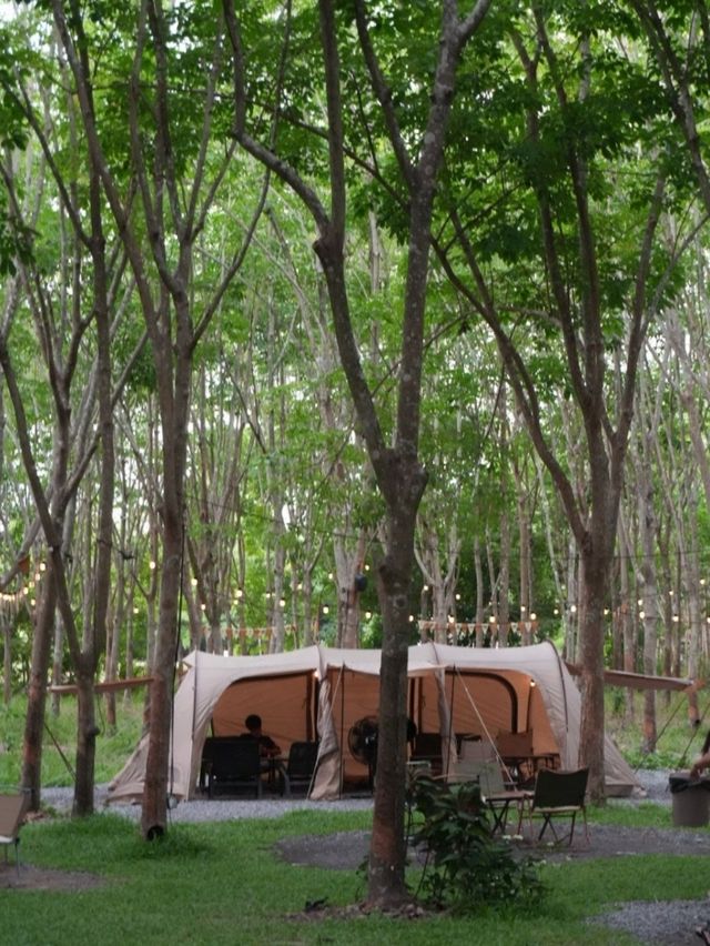 🥠Camp Cafe Udon Thani
