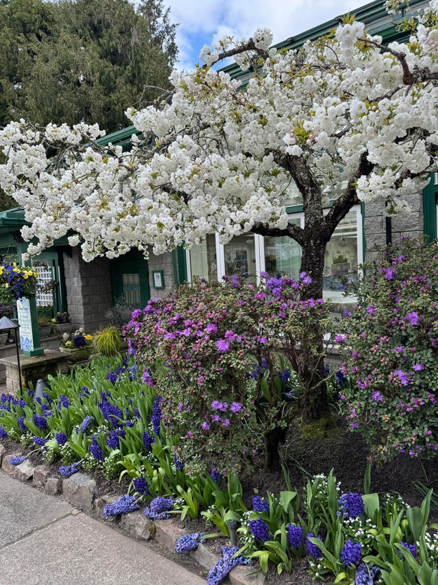 Butchart Gardens