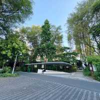 Nature’s Hidden Gem: A Stroll Through Jurong Lake Gardens 🇸🇬