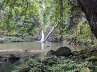 🦧 Tabin Wildlife Reserve: Where the Wild Things *Really* Are! 🌿
