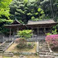 山王寺｜靜謐於自然