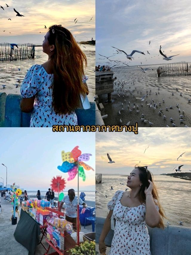 One day trip @บางปู