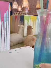 Sweet Moments with Alpacas: Exploring Eatsugarlips Café in Permas City