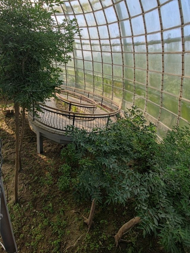 臺版濱灣花園#嘉大植物園-嘉義市東區